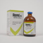 Dipymaj